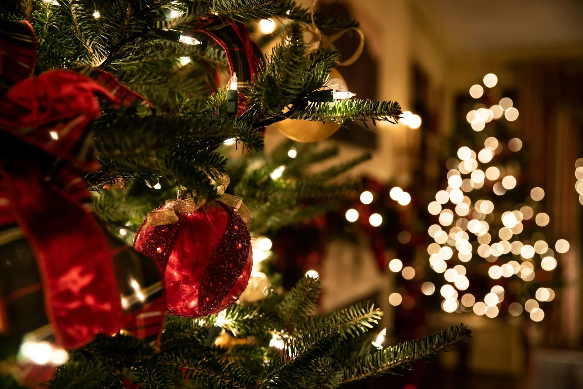 Christmas tree red ornament ribbon bokeh