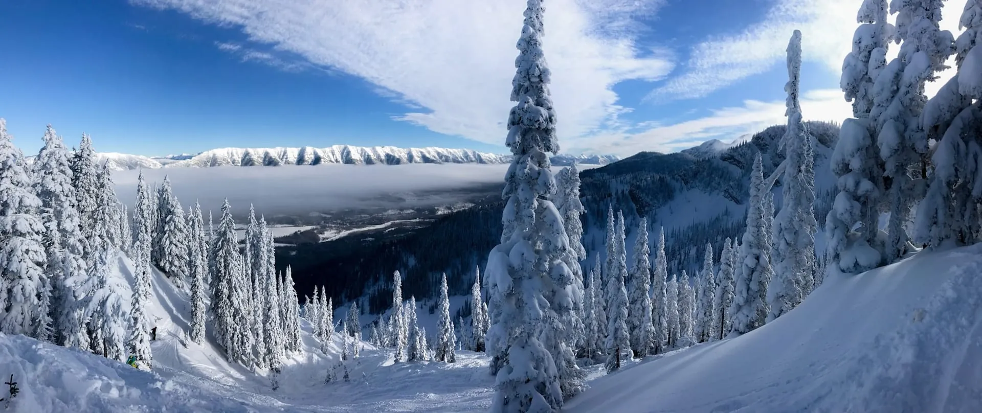 BC backcountry panorama of snow, spruce, and mountain peaks