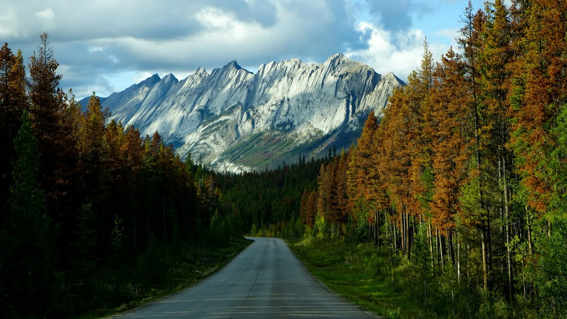 What It Actually Takes to Shoot in Northern BC: The Honest Version