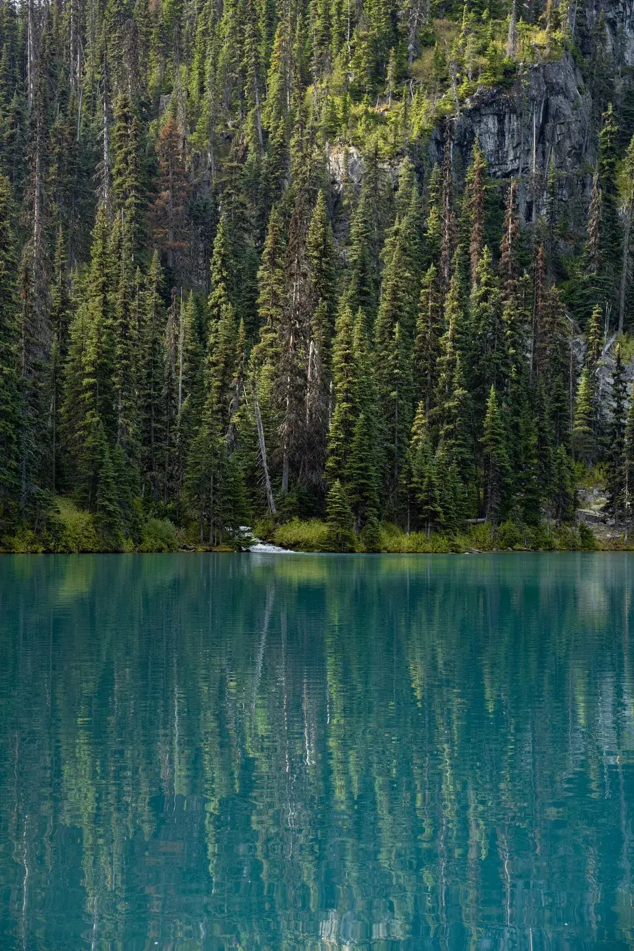How to Actually Start in Photography (Advice I Wish I'd Had)